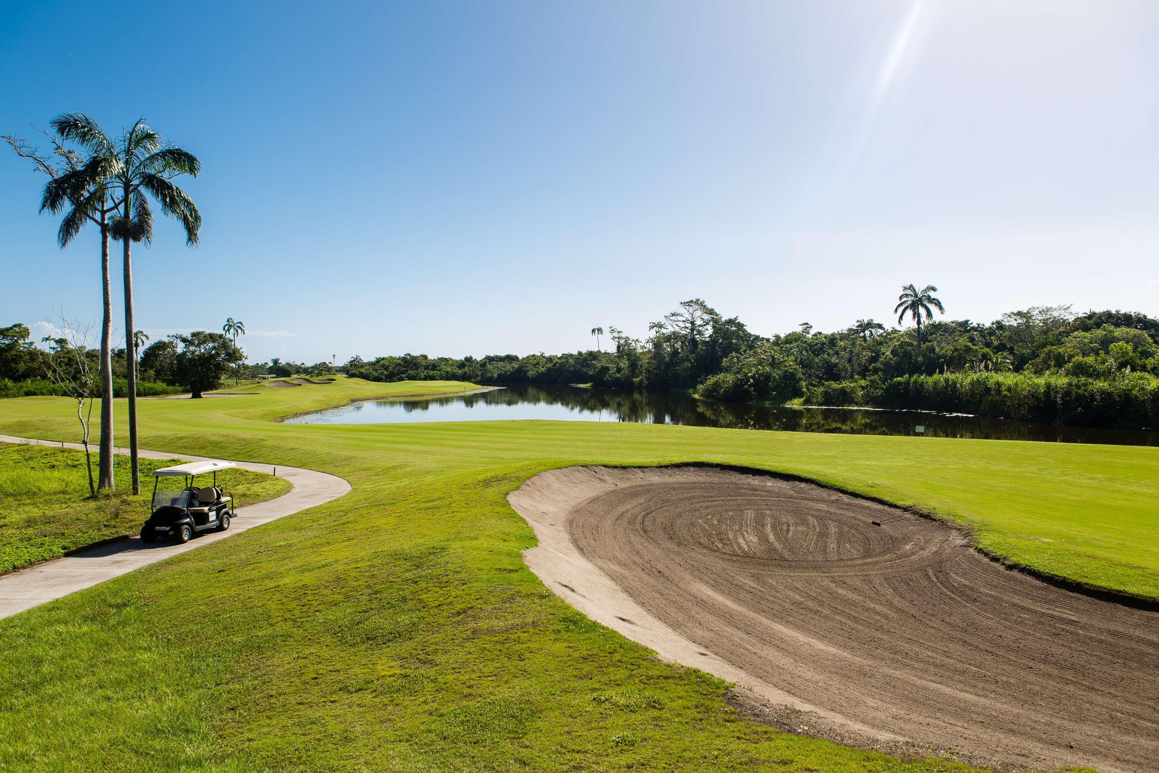 A golf course with a water body, palm trees, and a golf cart.