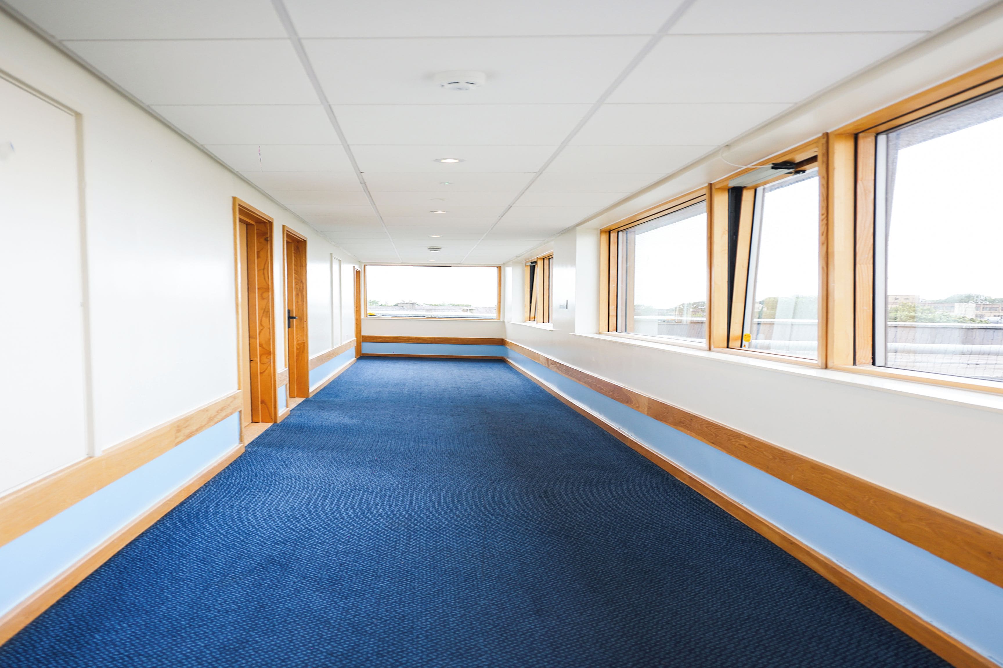 A long, narrow corridor with blue carpet, wooden trim, and large windows on one side.