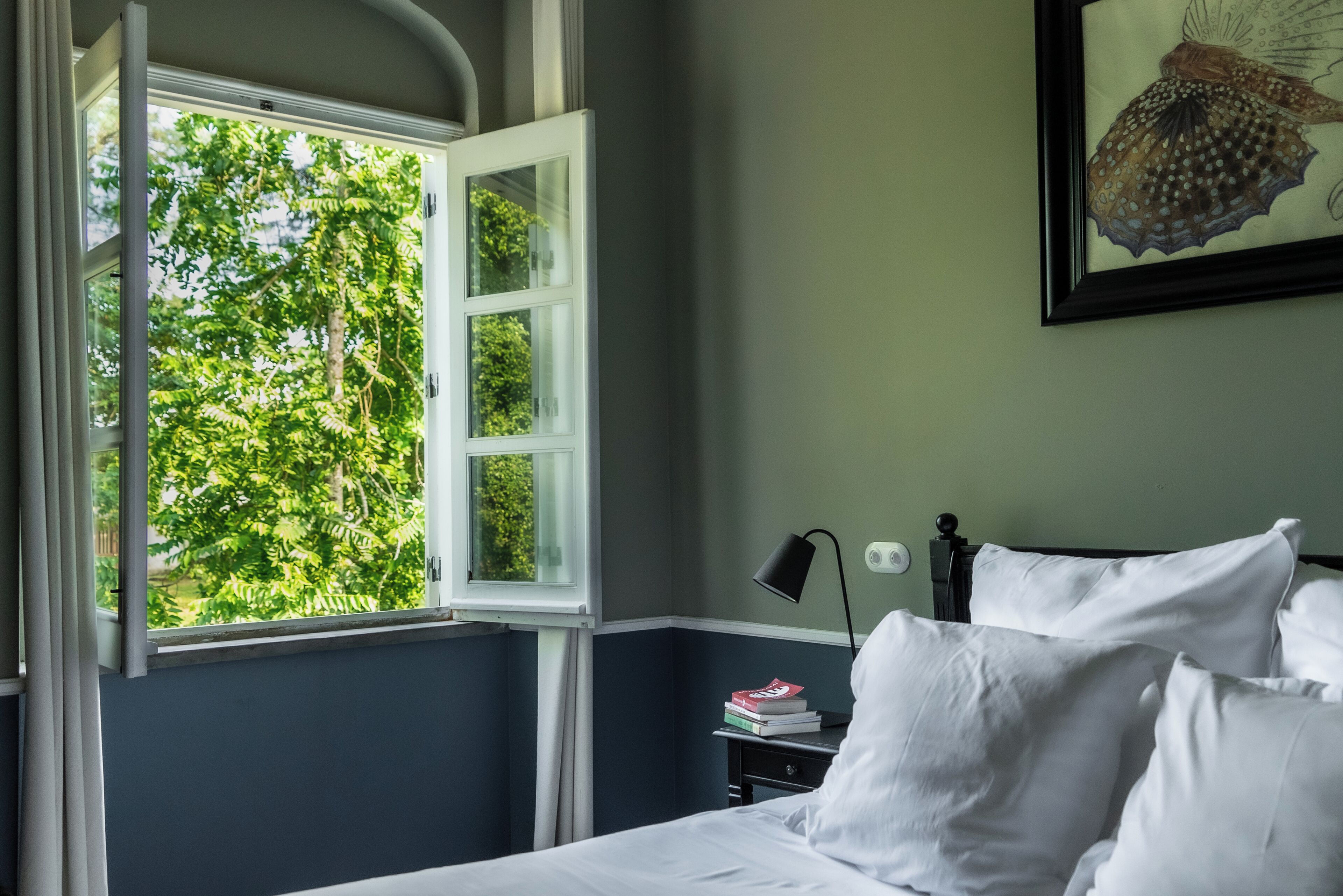 A bedroom with a bed, white pillows, a nightstand with books, a lamp, and a window with a view of trees.