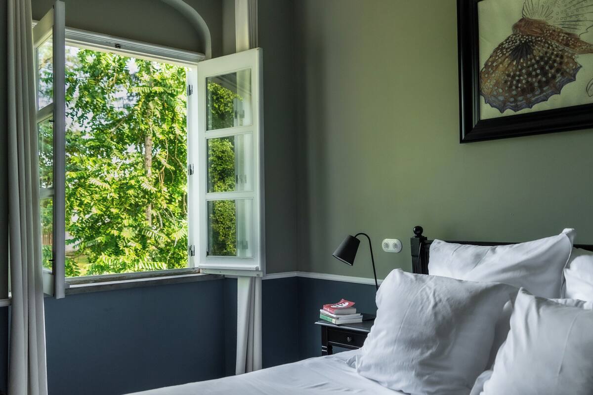 A bedroom with a bed, white pillows, a nightstand with books, a lamp, and a window with a view of trees.