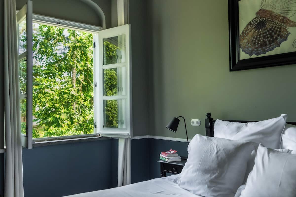 A bedroom with a bed, white pillows, a nightstand with books, a lamp, and a window with a view of trees.