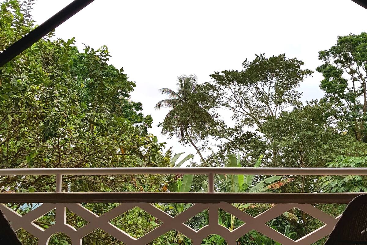 A covered outdoor seating area with a view of lush greenery and trees.