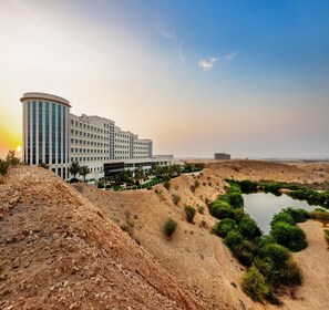 View from property - Crowne Plaza Muscat Ocec (Muscat)