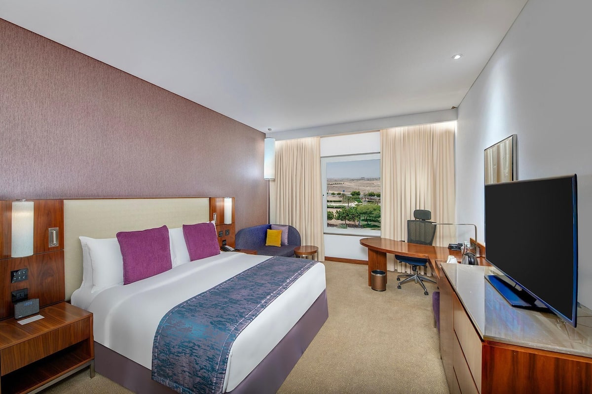 Una habitación de hotel con una cama grande, un escritorio, una televisión y vistas al paisaje.