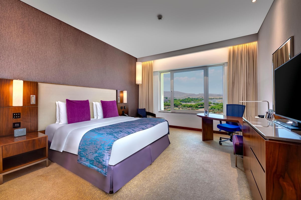 Habitación de hotel con una cama grande, un escritorio con silla, un televisor y una ventana con vistas.