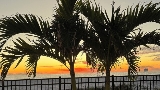 A sunset view with palm trees and a fence. - SEA you soon! Totally refreshed from top to bottom! January 2027 available! (Indian Shores)
