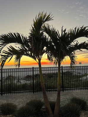 Une vue sur le coucher de soleil, avec des palmiers et une clôture.