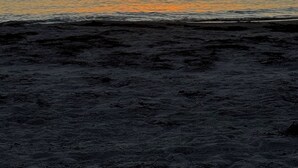 A beach with a sunset over the ocean. - SEA you soon! Totally refreshed from top to bottom! January 2027 available! (Indian Shores)