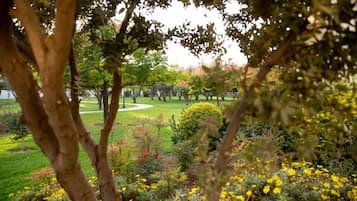 Um jardim com árvores e flores amarelas.