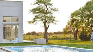 A modern house with a swimming pool, a lawn, and a tree.