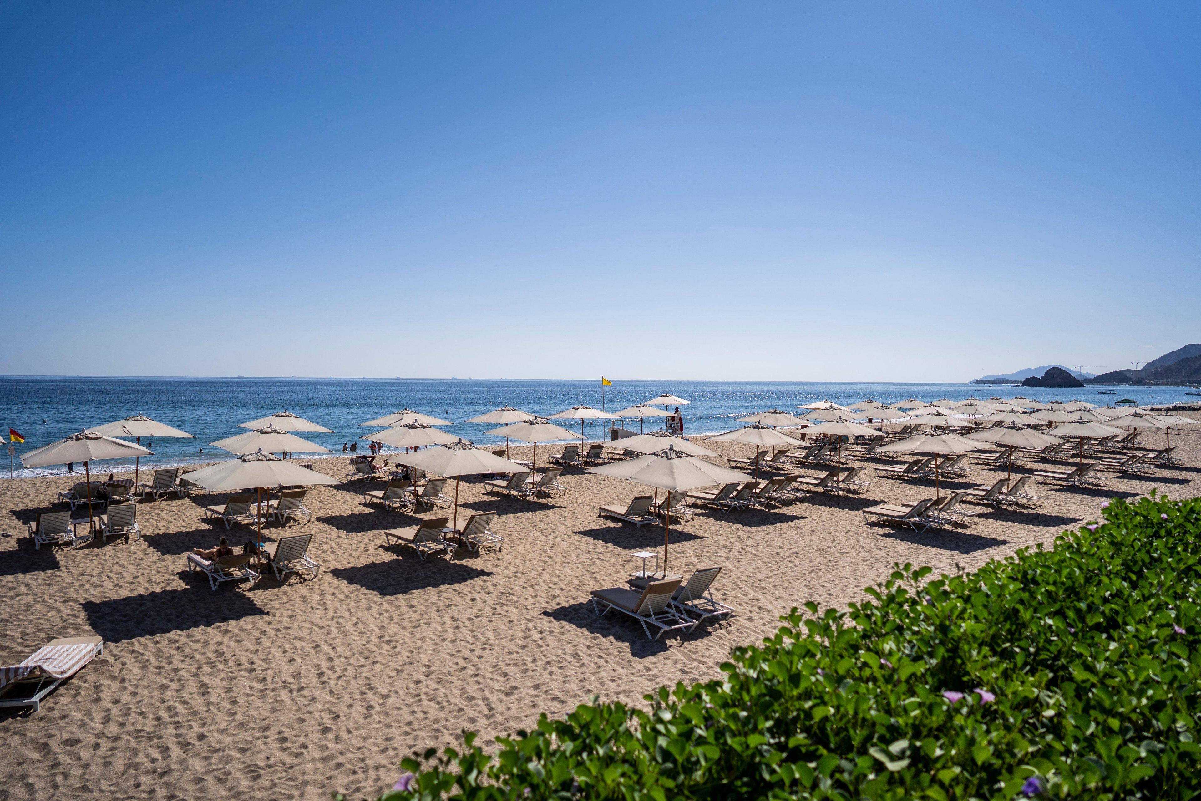 A beach with rows of sun loungers and umbrellas, a clear sky, and calm sea.