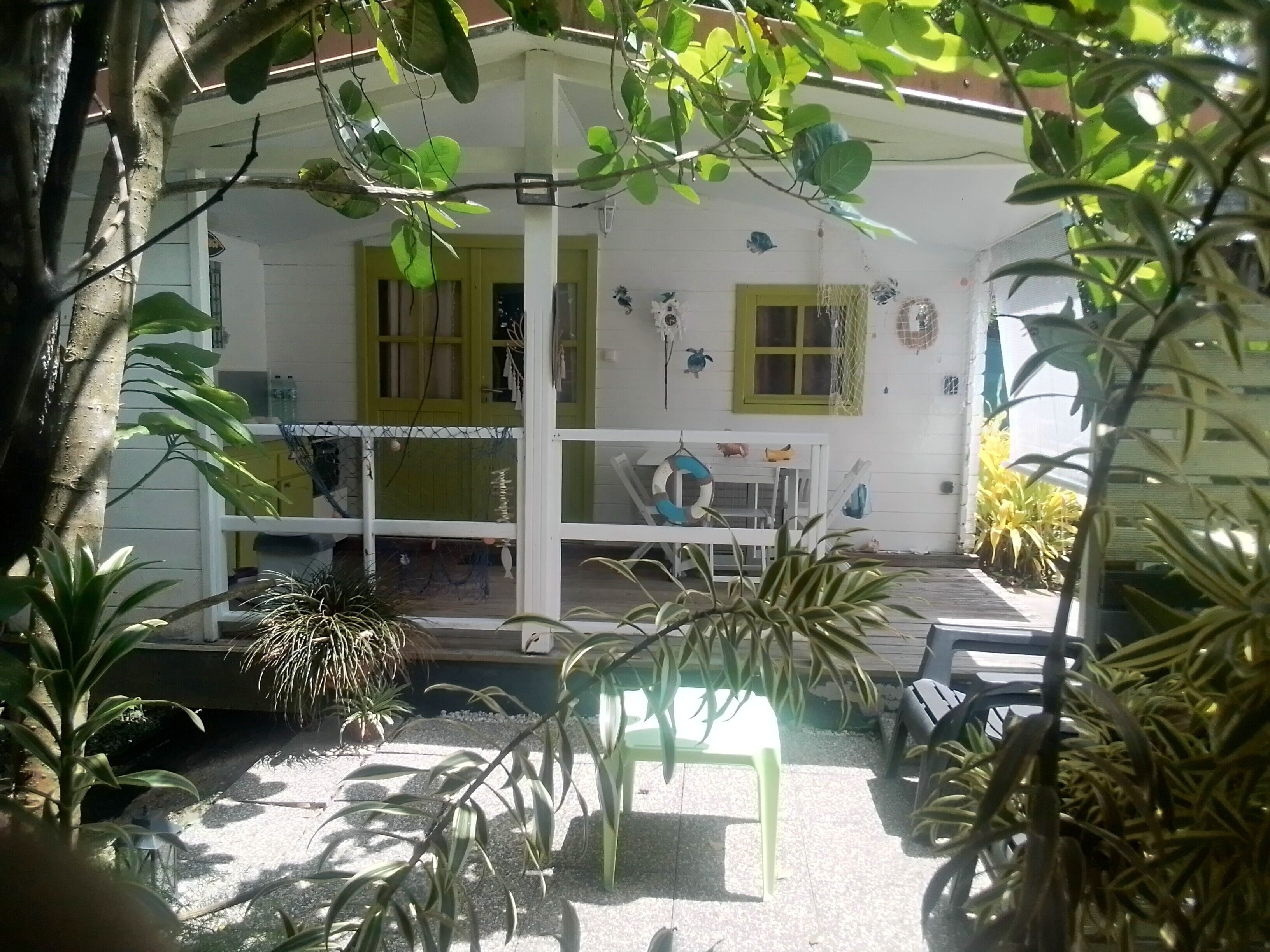 Terraza o patio