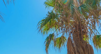 Grand Bahama Beach Hotel