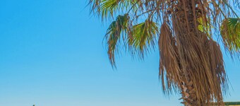 Grand Bahama Beach Hotel