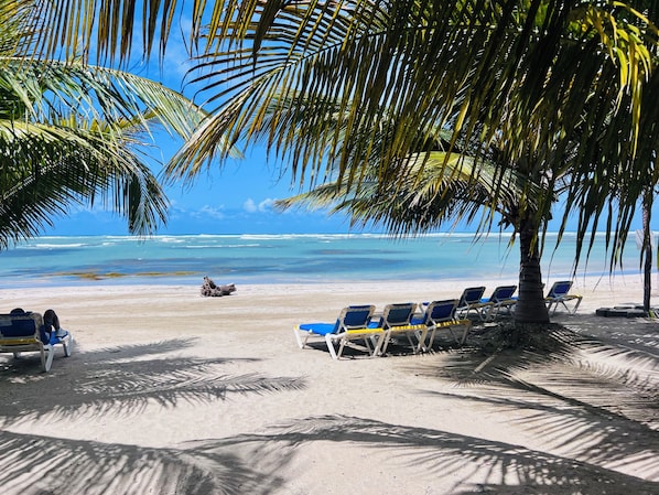 Une plage bordée de palmiers, une étendue de sable et des chaises longues.