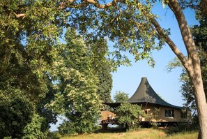 A house with a unique conical roof, surrounded by lush greenery and trees. - Banjaar Tola A Taj Safari Kanha National Park (Bichhiya)