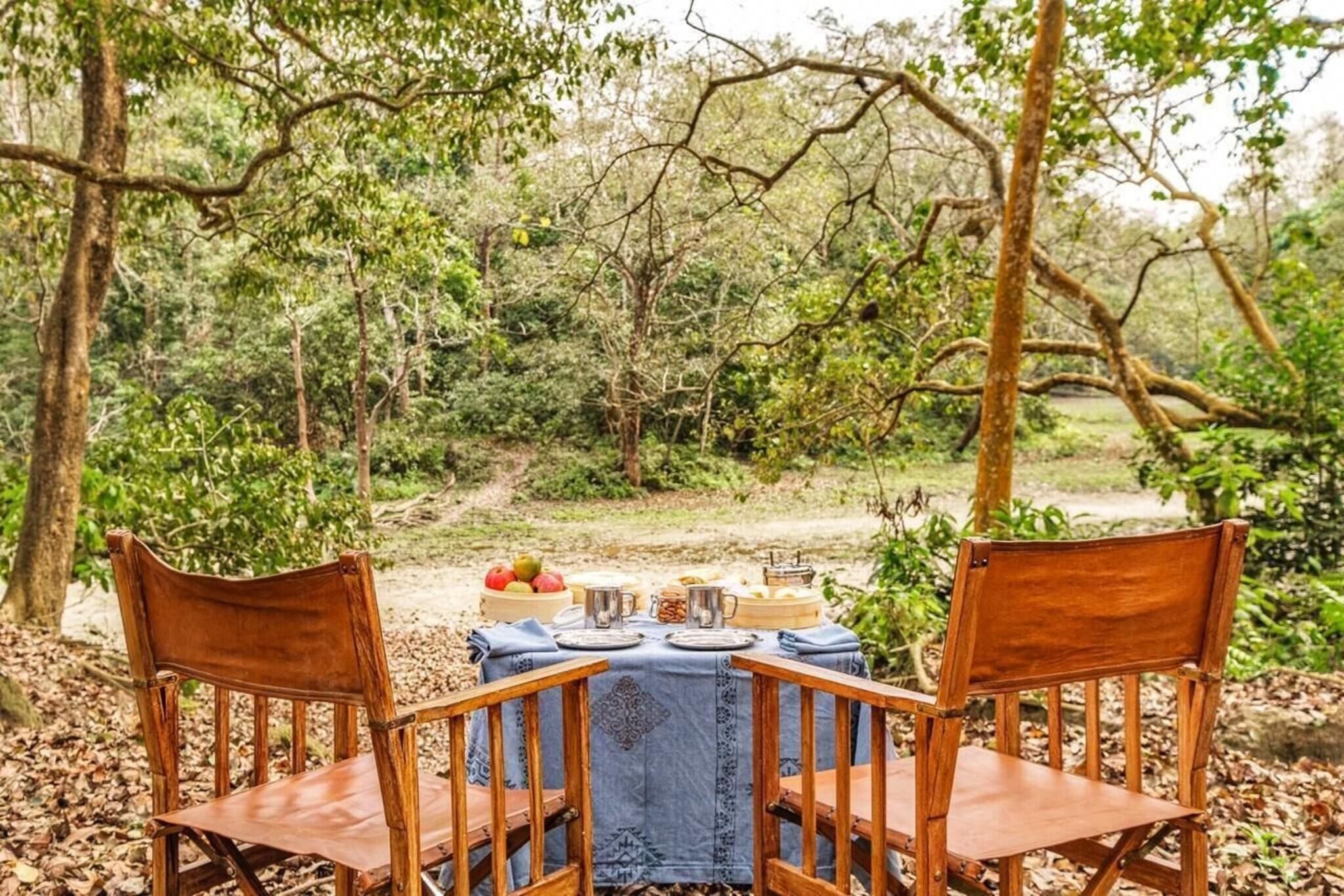 Une table installée à l’extérieur, avec des chaises, entourée d’arbres.
