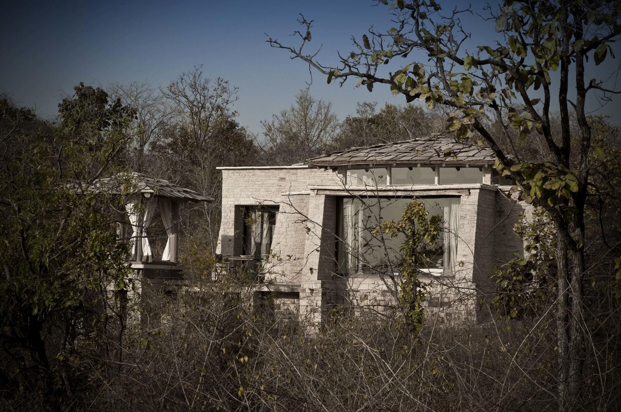 Un bâtiment délabré, dont le toit s’est partiellement effondré, entouré d’une végétation luxuriante et sauvage.
