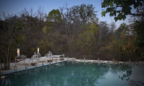A serene outdoor pool area with a lounge chair and a small table, surrounded by trees. - Pashan Garh A Taj Safari Panna National Park (Pawai)