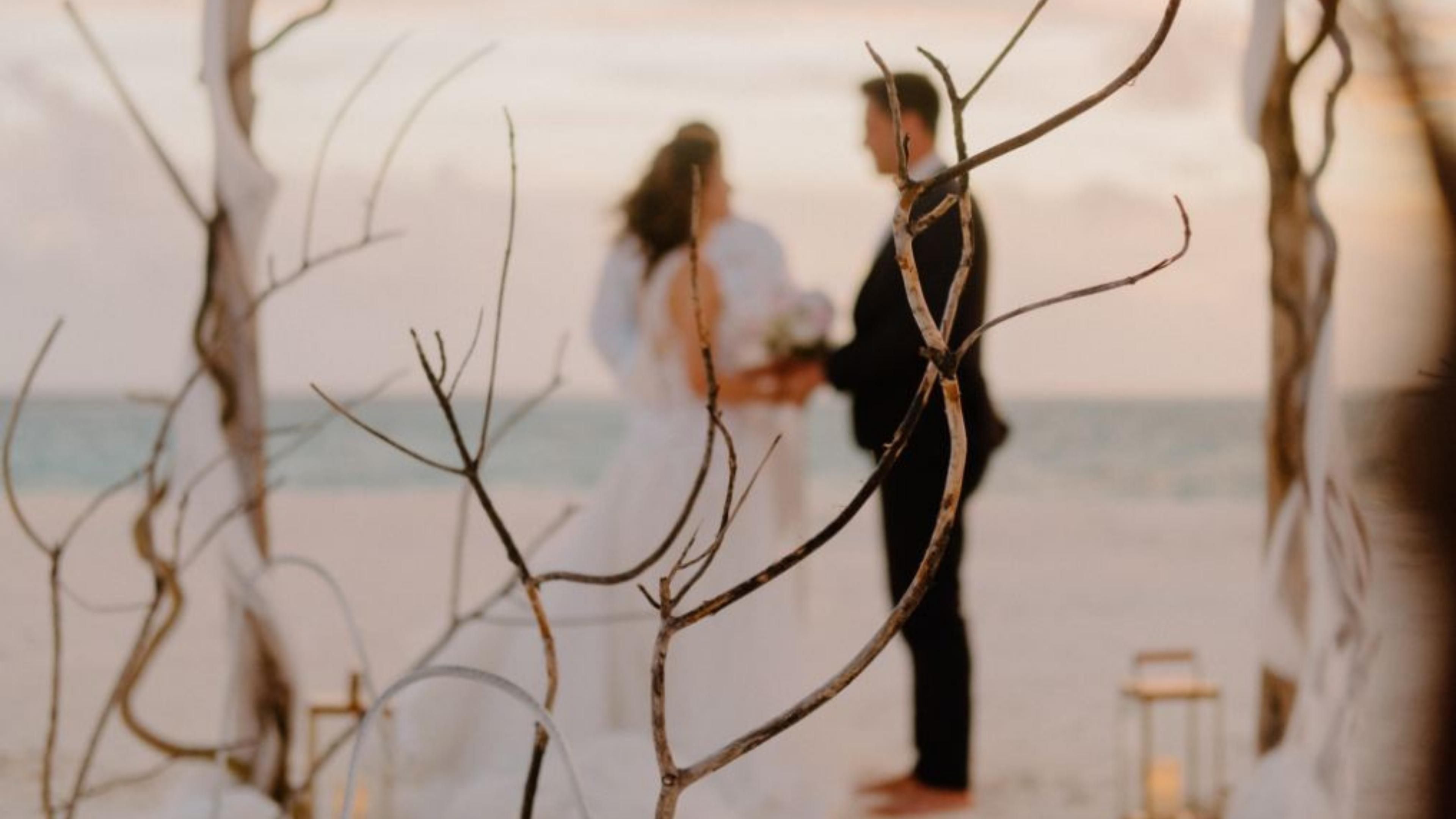 A beach wedding ceremony with a couple holding hands, surrounded by bare branches.