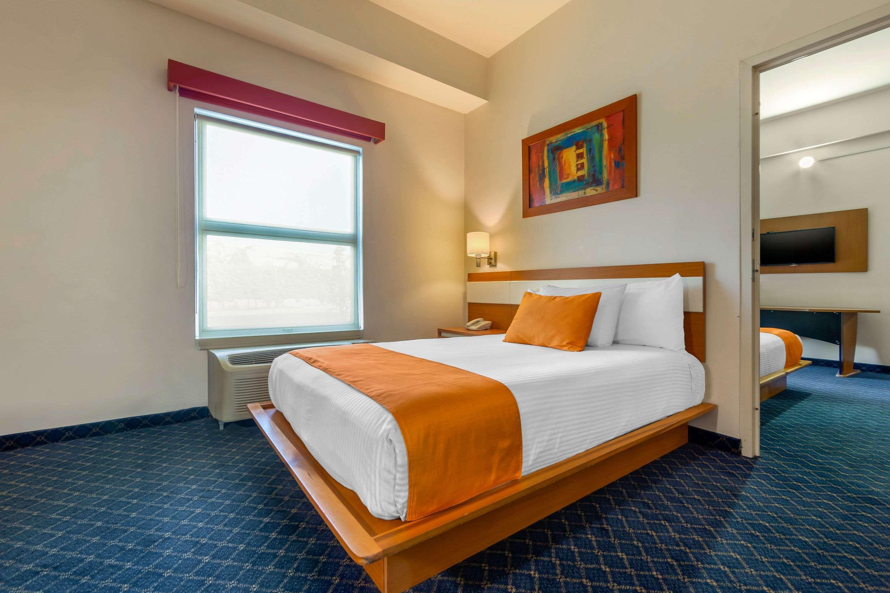 Habitación de hotel con una cama grande, una ventana, un cuadro, un televisor y un teléfono.
