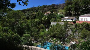 Vista desde la ladera con una piscina, rodeada de vegetación exuberante y algunos edificios.