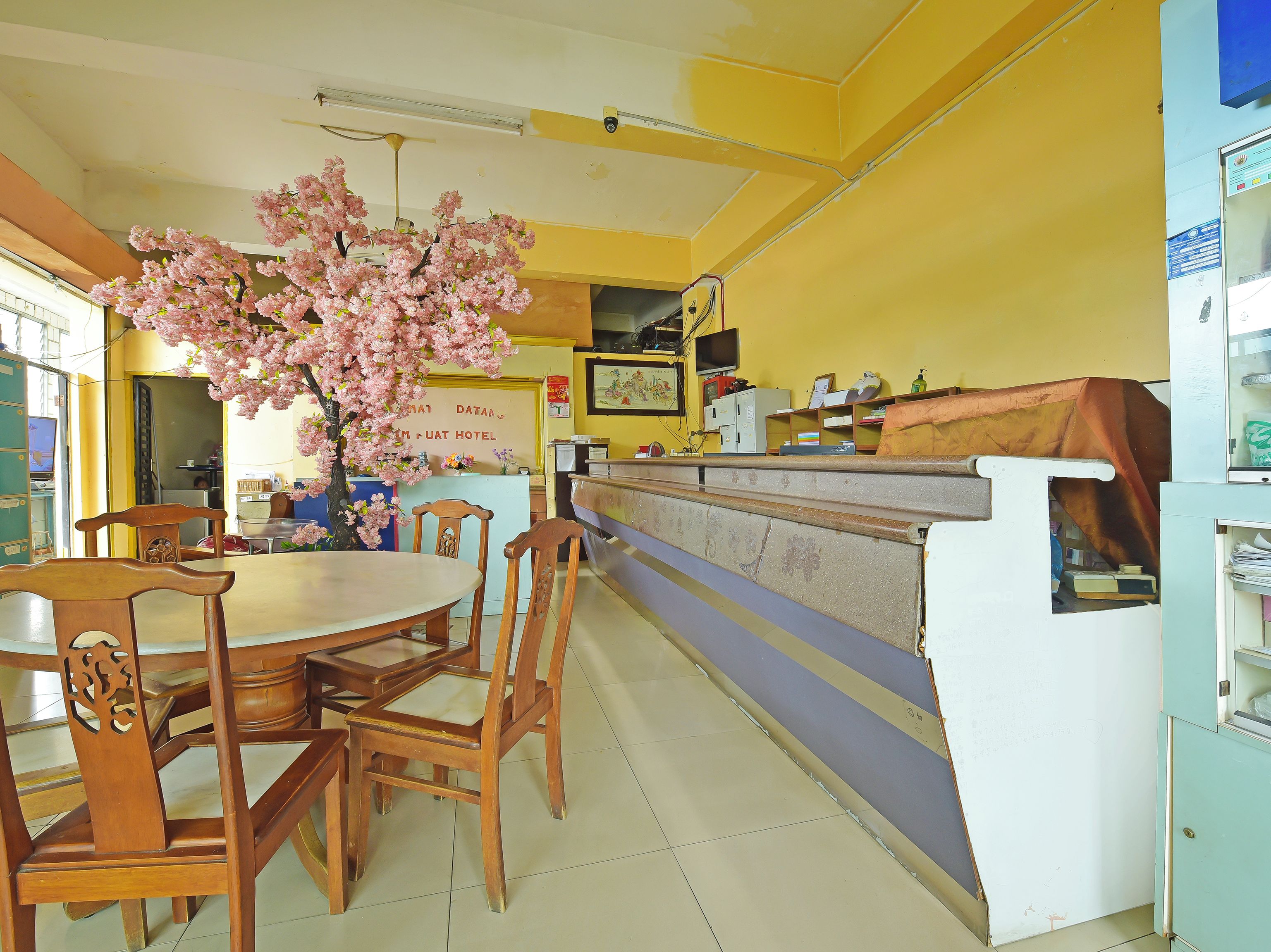 A hotel reception area with a reception desk, chairs, a large artificial cherry blossom tree, and a counter with various items.