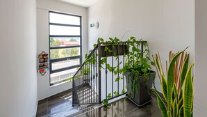 Escada com corrimão de metal, planta em vaso e janela com vista para edifícios.