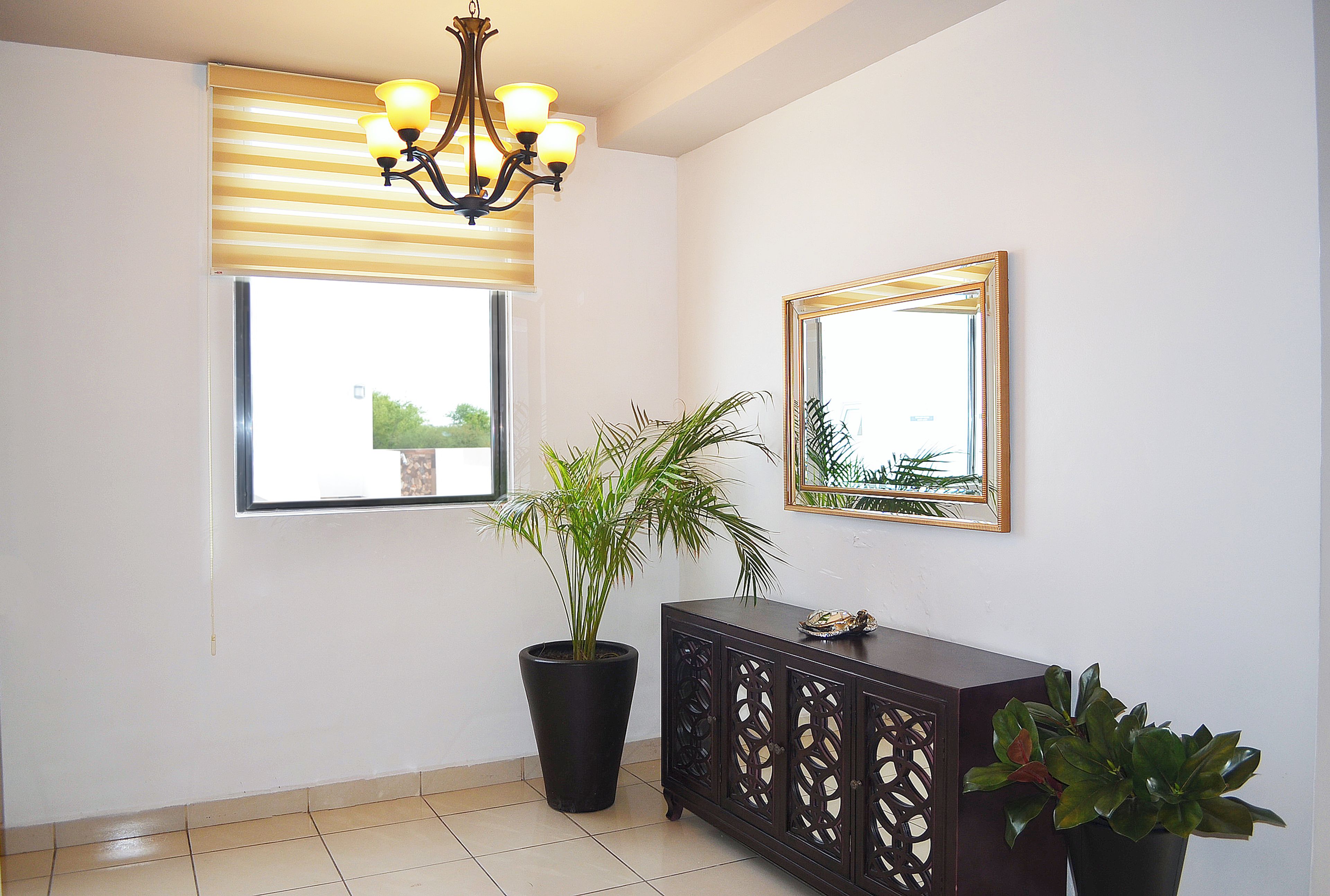 A room with a potted plant, a cabinet, a chandelier, and a window with blinds.