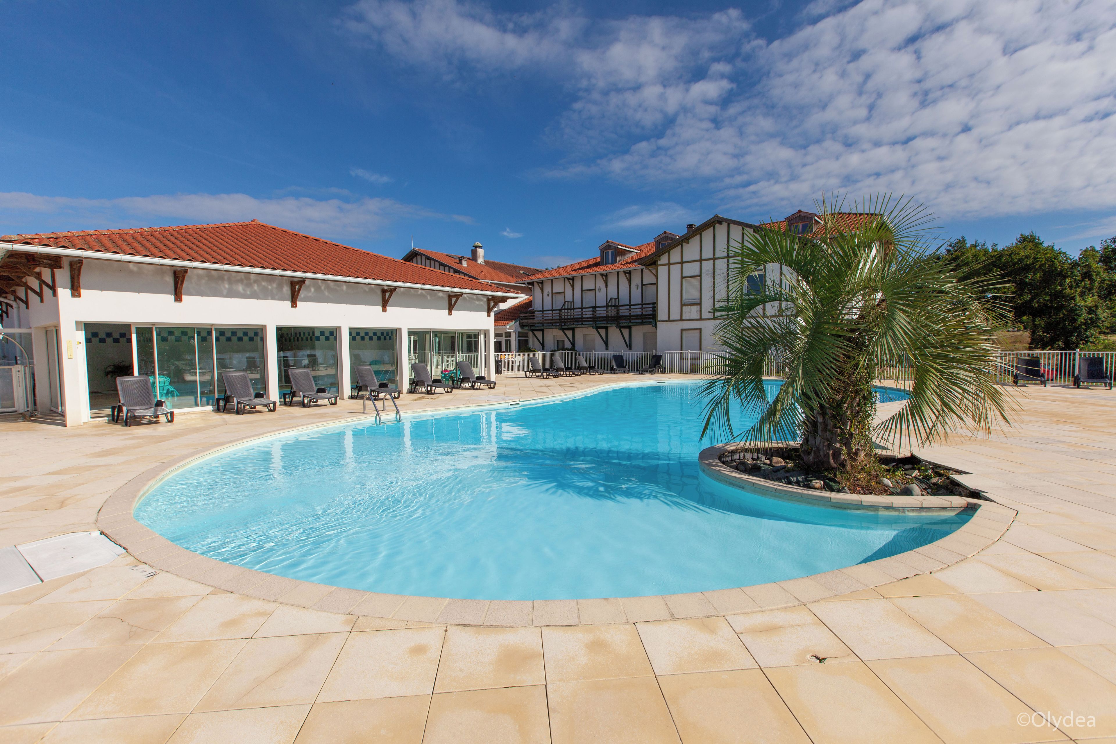 Ein Swimmingpool mit Liegestühlen, einer Palme und Gebäuden im Hintergrund.