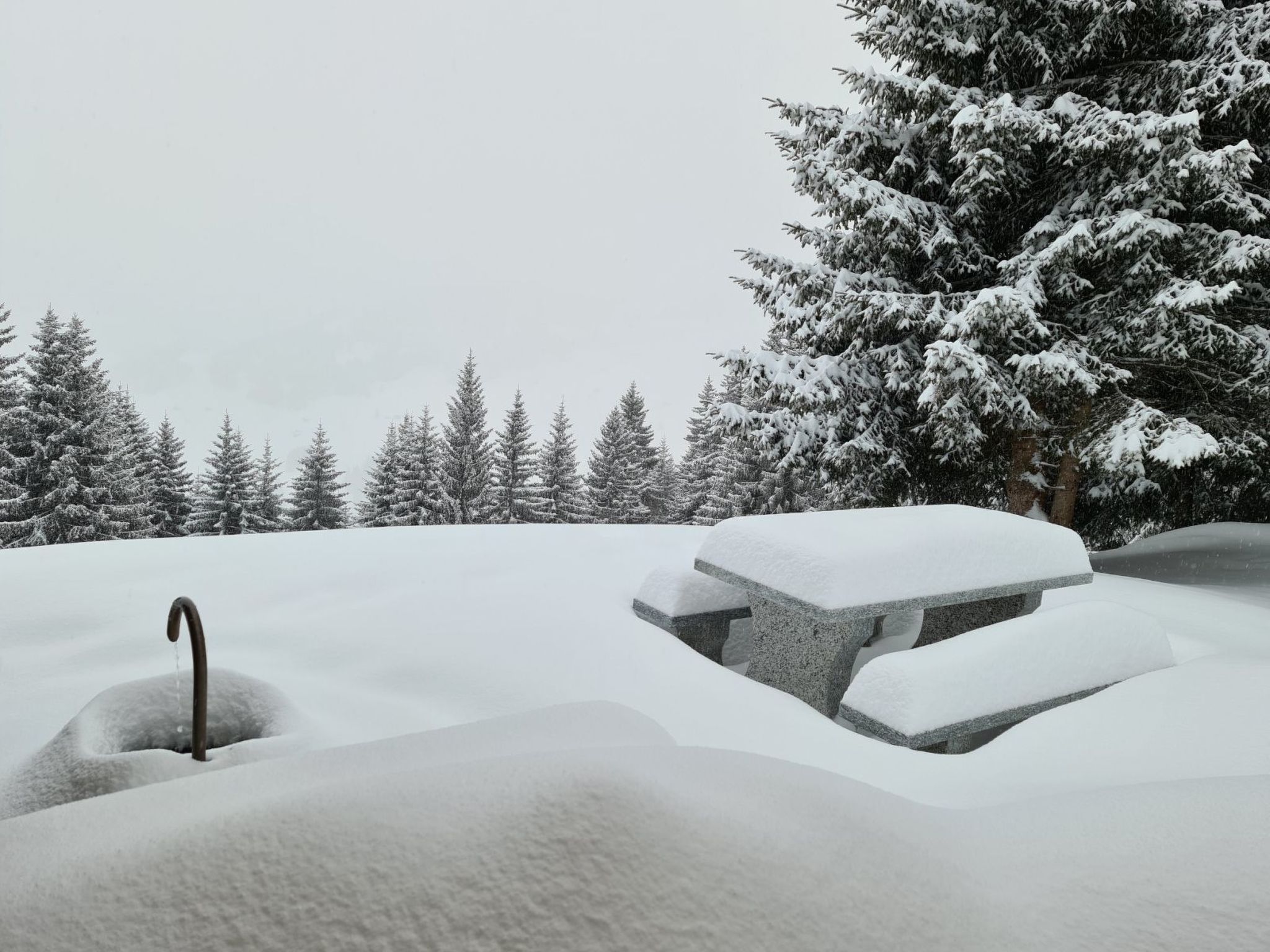 A snow-covered outdoor area with a stone bench and a metal structure, surrounded by snow-laden trees.