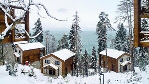 View from property - Hancioglu Camburnu Orman Evleri (Surmene)