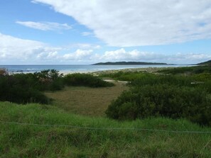 Eine Küstenlandschaft mit einer Wiese, einem Strand und einer fernen Insel.