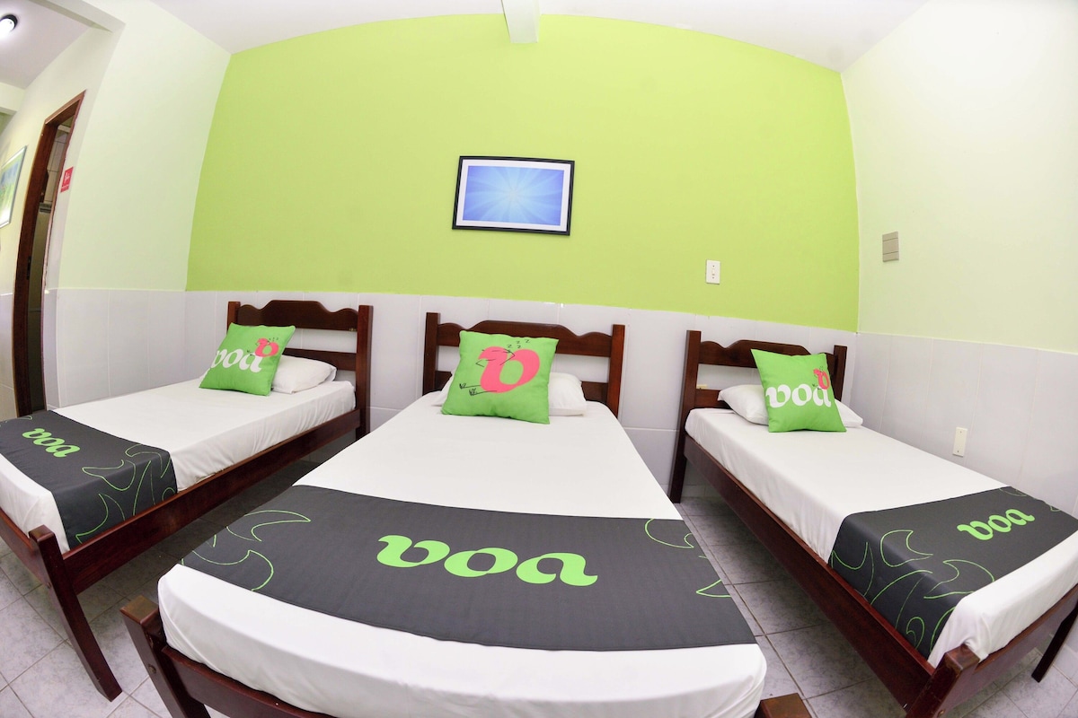 Una habitación de hotel con tres camas individuales, cada una con una colcha verde y blanca y un almohadón con una letra.