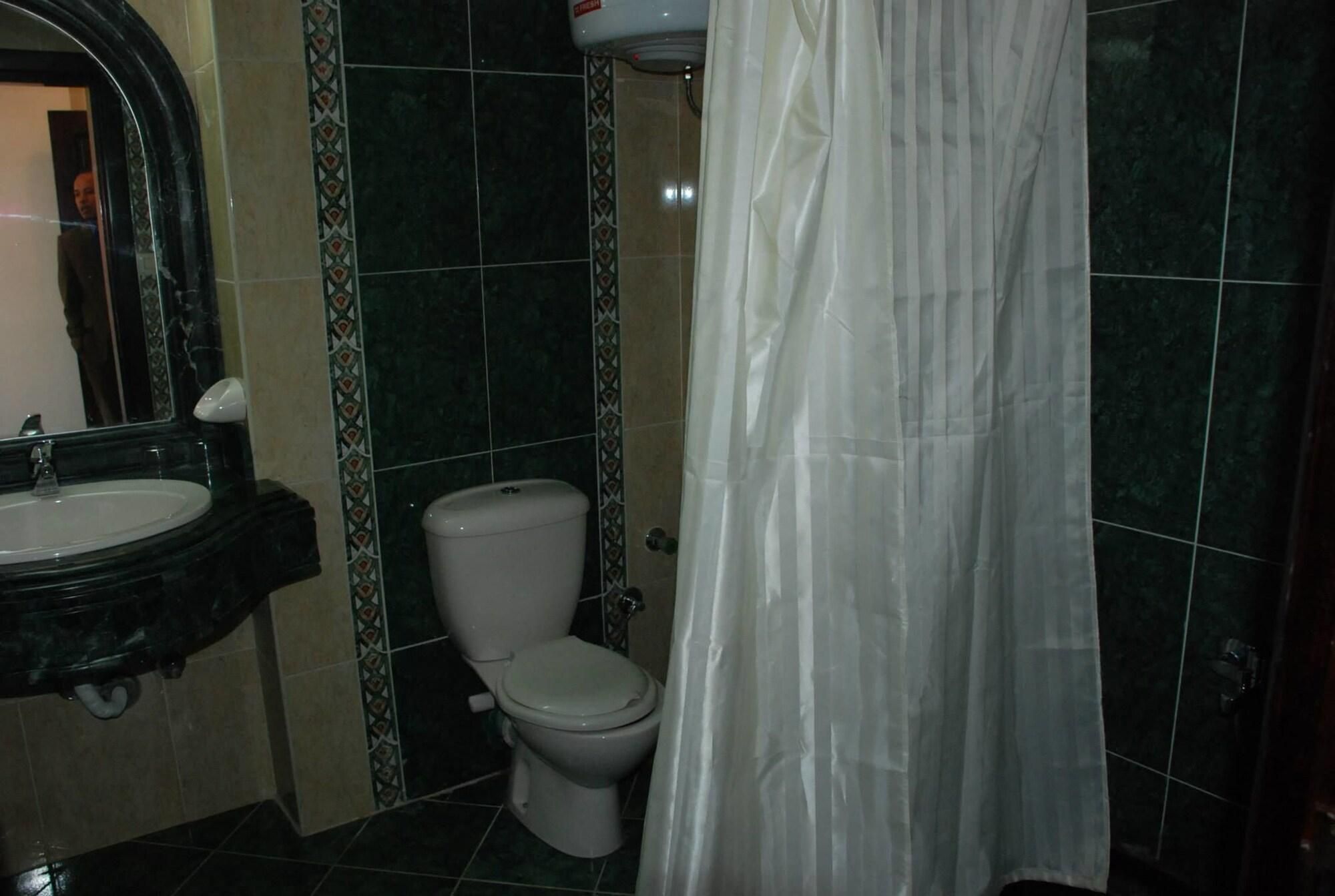 A bathroom with a sink, toilet, and shower curtain.
