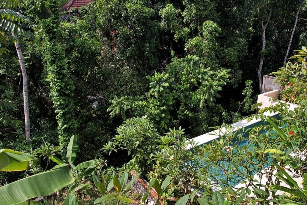 Deluxe Twin Room, Garden View | Pool | Outdoor pool