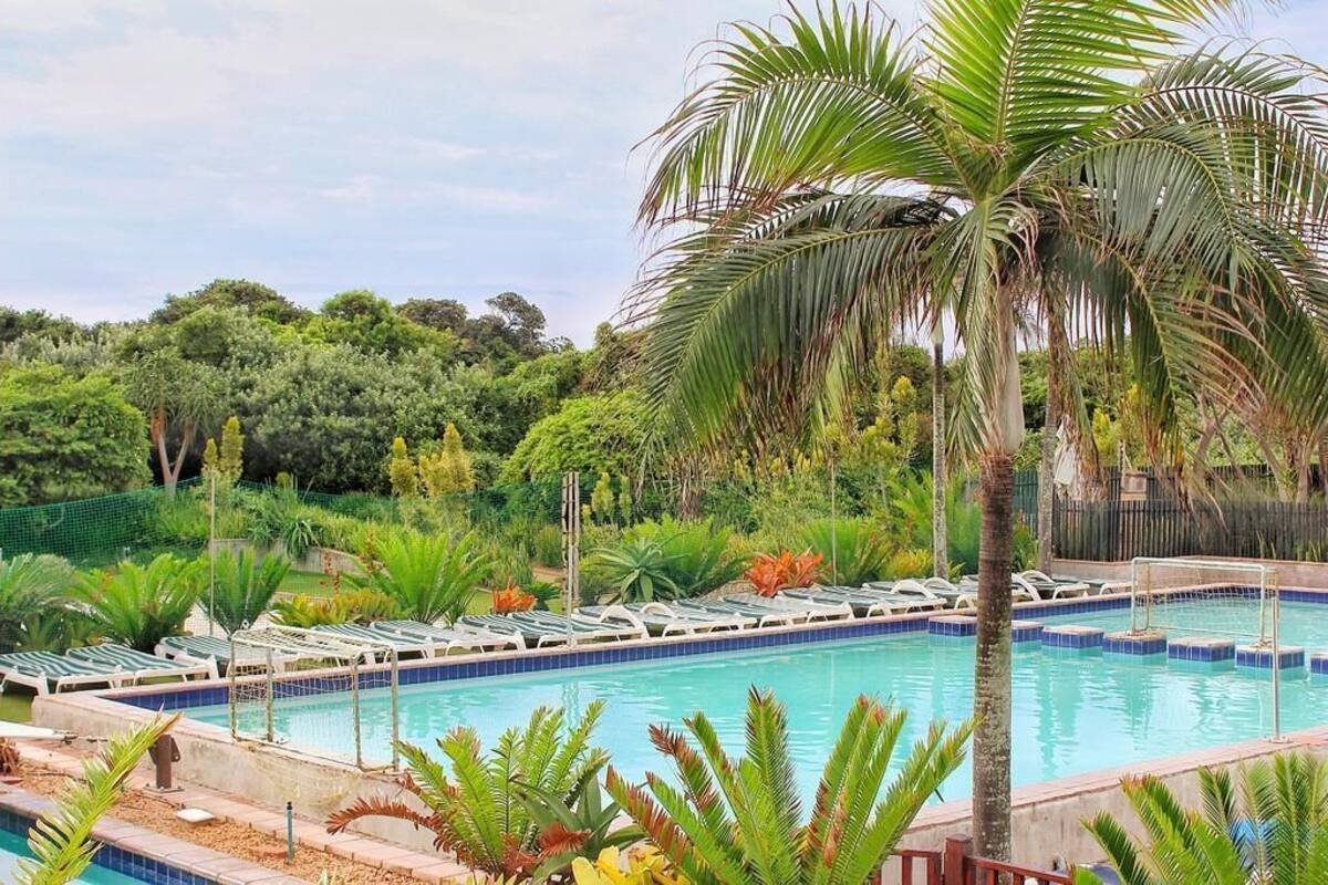 Une piscine entourée de palmiers et de différentes plantes, avec des chaises longues et une clôture en arrière-plan.