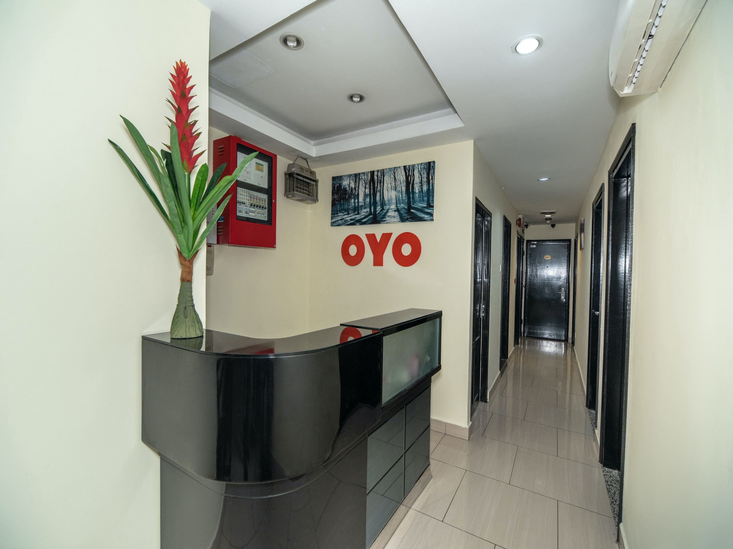 Zona de recepción con mostrador, una planta, aire acondicionado de pared, un cuadro enmarcado y un pasillo que conduce a una puerta.