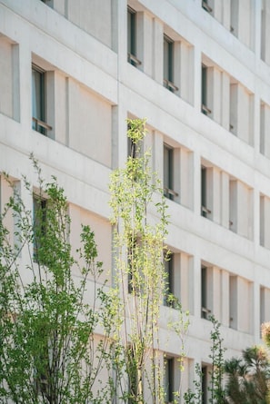 Un edificio moderno con una fachada de ventanas enrejada y un árbol central.
