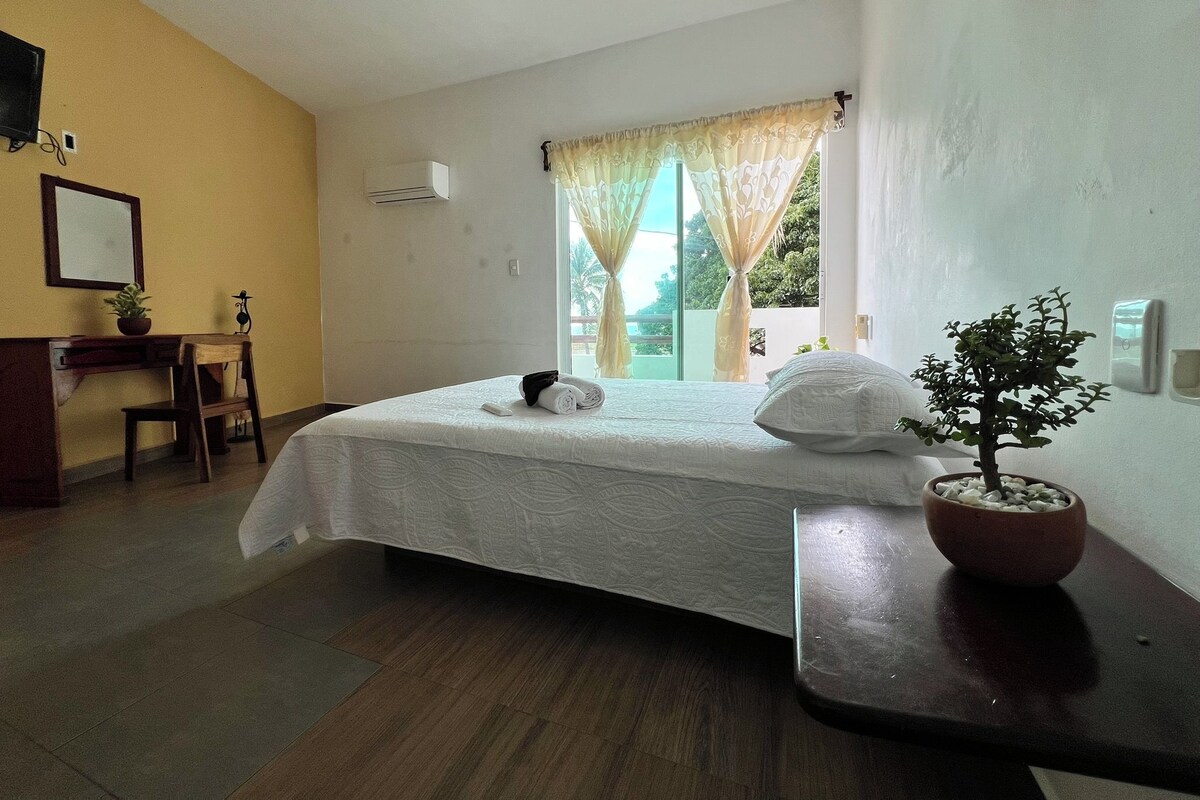 A hotel room with a bed, a desk, a potted plant, and a window with curtains.