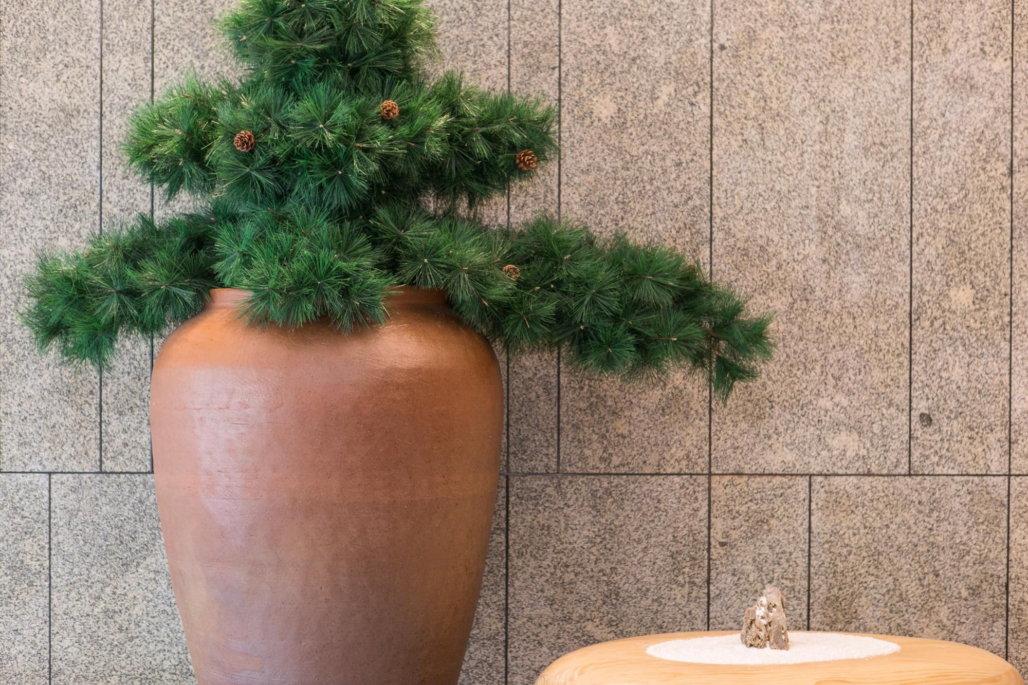 A large terracotta vase with a coniferous plant and pine cones, placed against a tiled wall.