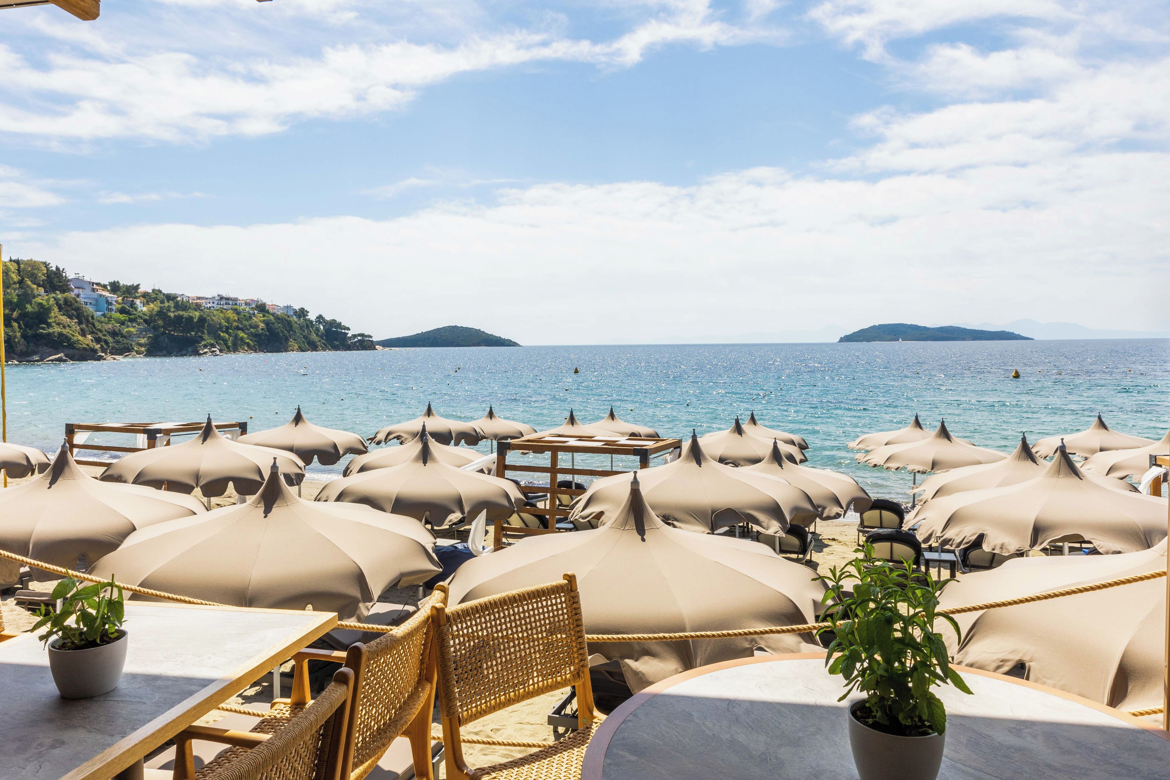 A beachside restaurant with numerous beige umbrellas and wicker furniture, overlooking a calm sea and distant hills.
