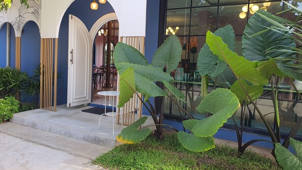 Un edificio con fachada azul y blanca, un arco de entrada y grandes plantas verdes en primer plano.