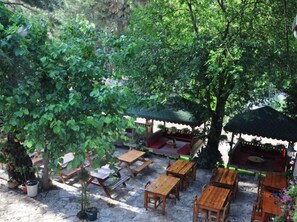 Un espace extérieur aménagé avec des tables et des chaises en bois, entouré d’une végétation luxuriante et d’arbres.