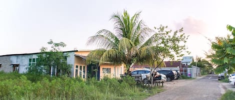 A rural road with parked cars, a palm tree, and buildings in the background.