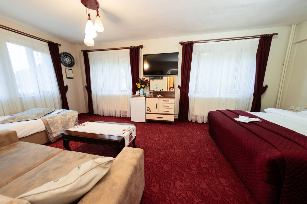 Ein Hotelzimmer mit zwei Betten, einem Schreibtisch, einem Fernseher und einem roten Teppichboden.