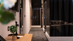 Una habitación de hotel moderna con sofá, una mesita y una planta.
