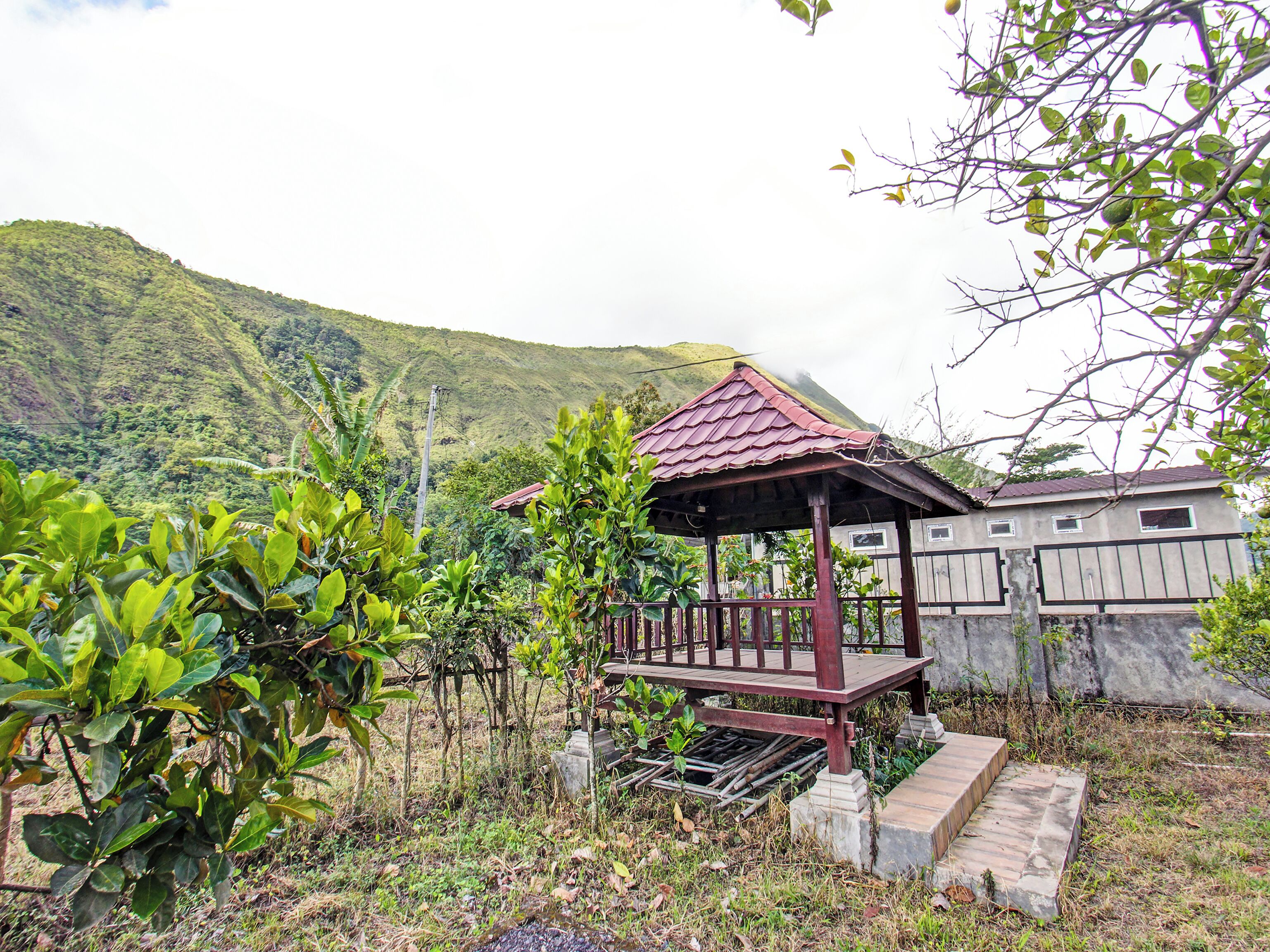 Quang cảnh nhìn từ nơi lưu trú