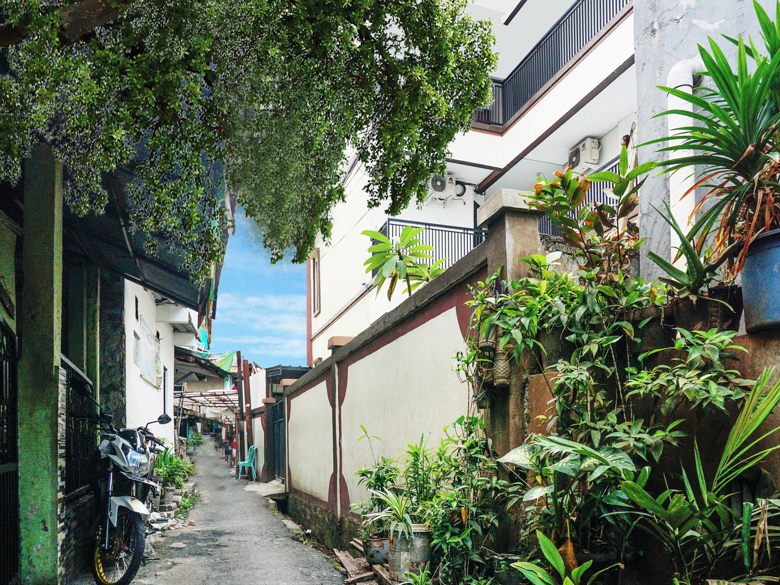 Une ruelle étroite où est garée une moto, avec des plantes en pot et un immeuble doté d’un balcon.