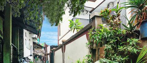 Une ruelle étroite où est garée une moto, avec des plantes en pot et un immeuble doté d’un balcon.